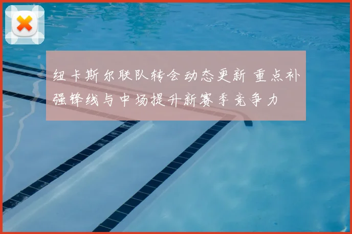 纽卡斯尔联队转会动态更新 重点补强锋线与中场提升新赛季竞争力