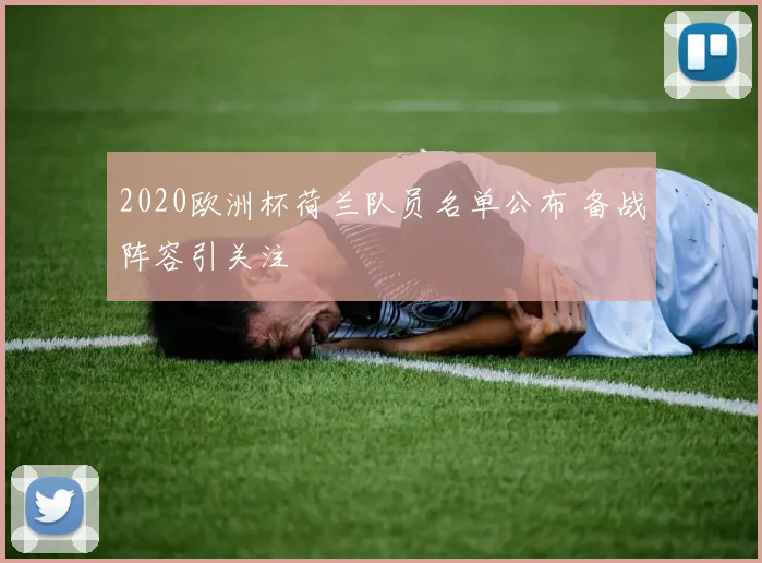 2020欧洲杯荷兰队员名单公布 备战阵容引关注